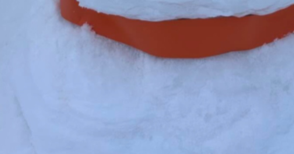 雪かきに飽きた男性→雪だるまを作ってみたら……「うま！！！」　“まさかの光景”に「近所だったら写真撮りに行っちゃいます」（1/2） | ライフスタイル ねとらぼ