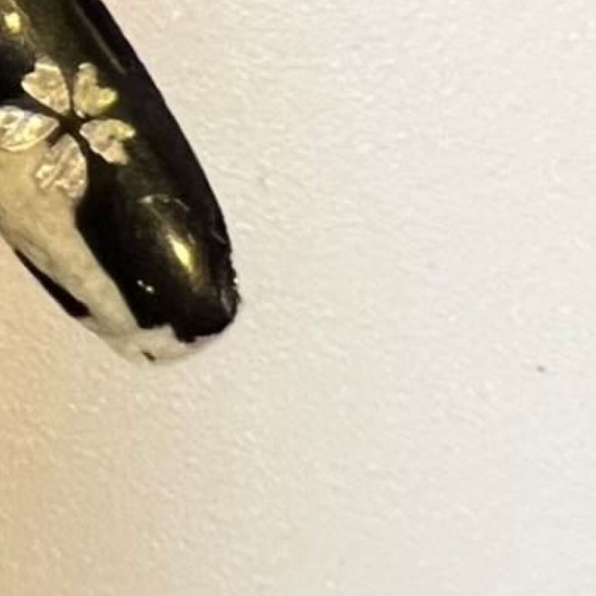 実家から戻った妻、キッチンで“浮気の証拠”を発見→夫は弁解するも……　まさかの正体に「そんなことあんのw」「心臓に悪い」 | ライフスタイル ねとらぼ