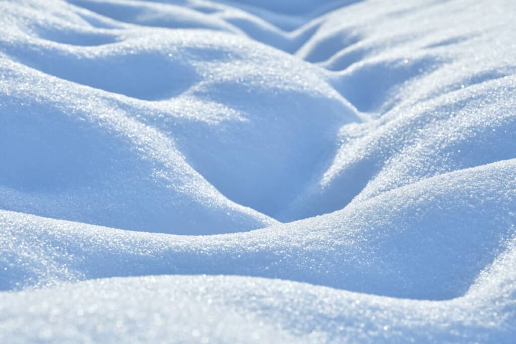 大雪の後に見られた光景とは(出典:PIXTA)
