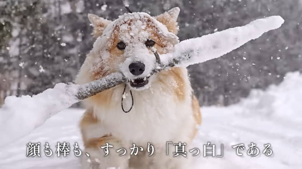 棒の両端に雪が溜まって剣のよう