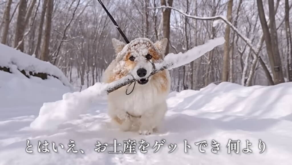 お宝が見つかってよかったね◎