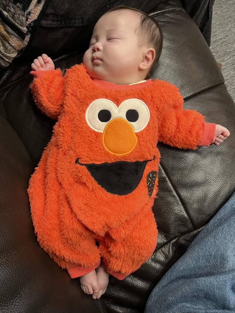 もこもこで暖かそうなエルモの服