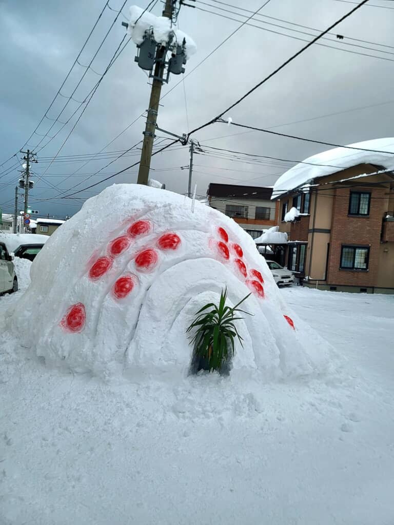 前足は観葉植物のユッカ！