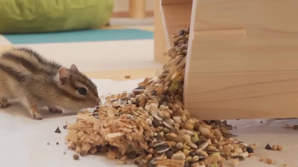 見守るまめたくん