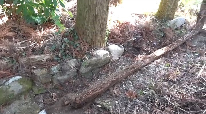 積年の詰まりが解消されるこの爽快感……！