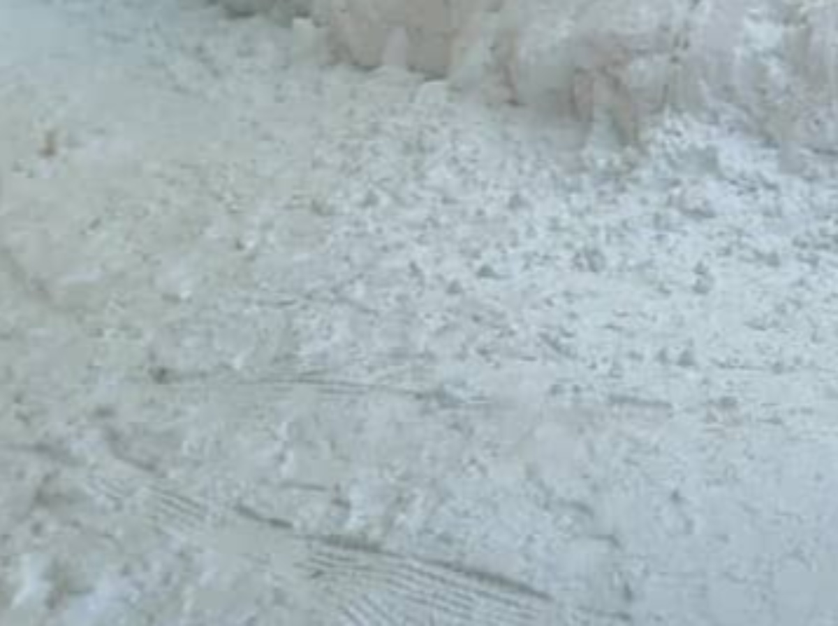 「怒りMAXで暴走状態」大雪の日に出現した巨大生物に驚がく　圧巻の光景に「夜見ると怖い」「天才すぎるだろ」 | ライフスタイル ねとらぼ