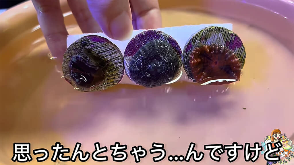 高級サンゴ・スコリミア。ちょっと思ったものと違うと思いきや