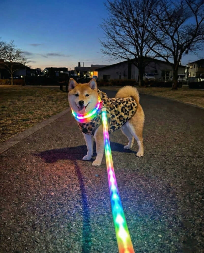 鬼ギャル化したももちゃん