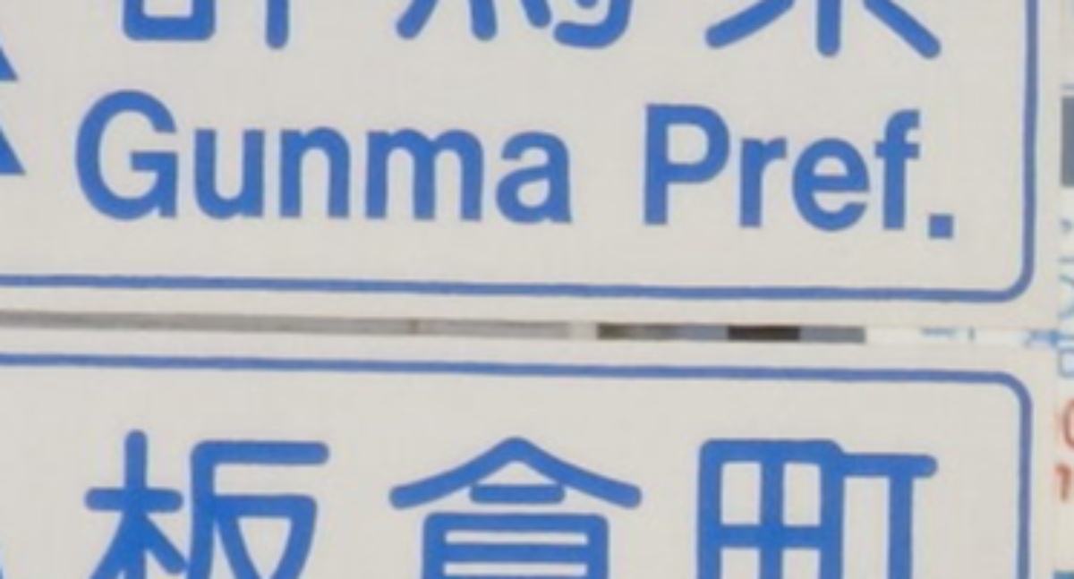 栃木県を走行中、目の前に「群馬県」の標識→さらに先には…… 脳がバグる光景に「衝撃」「ウルサイ県道w」(1/3) | ライフスタイル ねとらぼ