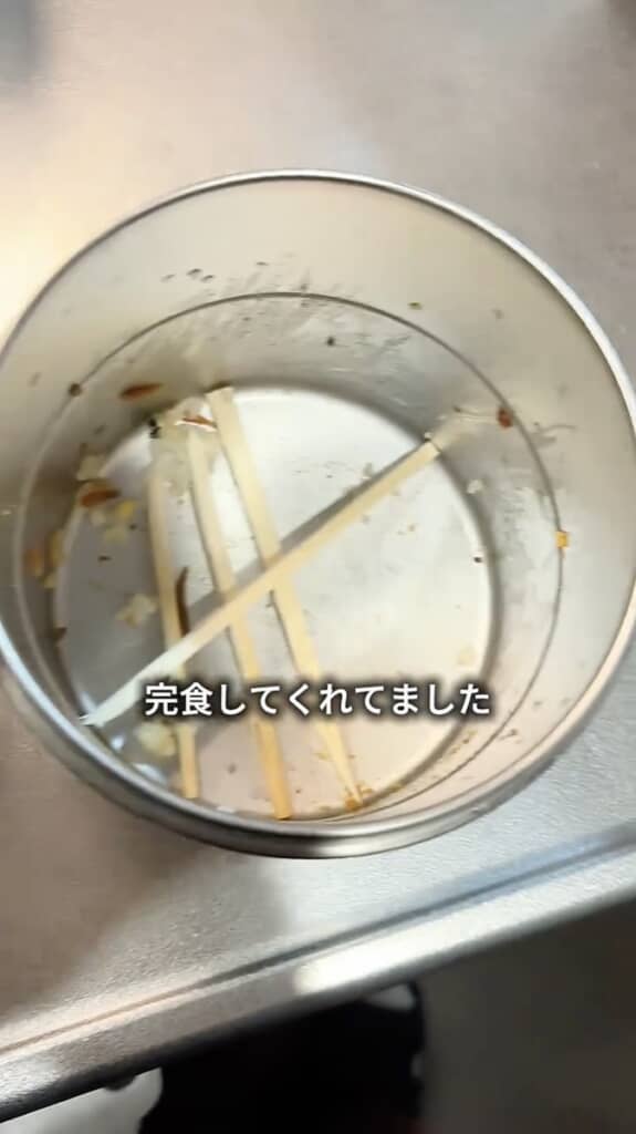 完食し、3年間のお礼を言ってくれたそうです