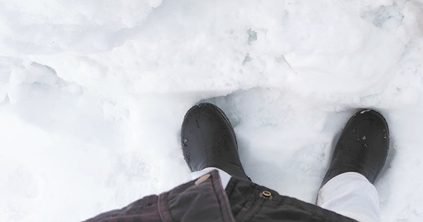 歩行者用ボタンが見当たらない→周囲を見回すと…… 目を疑う光景に「そんなことある?」「ヤバさが理解できた」(1/3) | ライフスタイル ねとらぼ