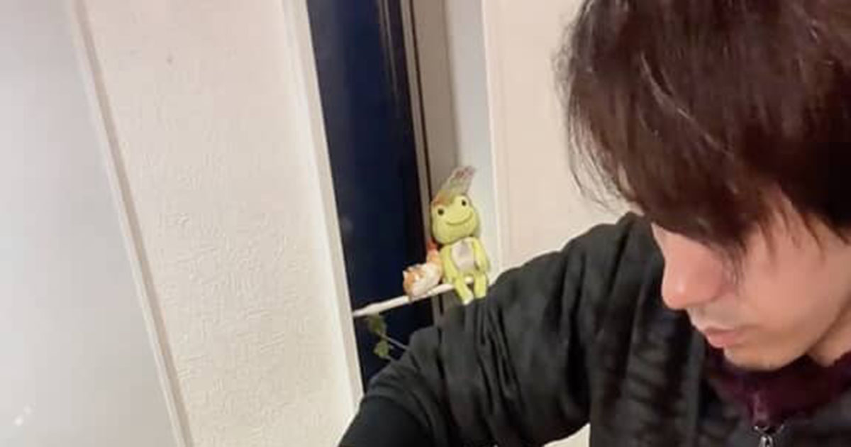 高3息子が突然「今日でお弁当終わり」→38歳シングルファザーが作った“ラスト弁当”は……　気持ちがこもった中身に「涙がぁぁぁ」（1/2） | 高校・中学 ねとらぼ