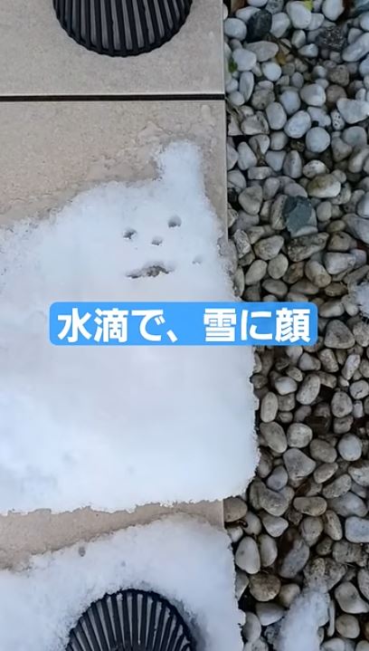 顔ができていました!