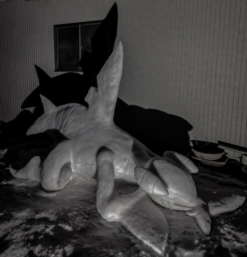 壁に映る影もかっこいい!