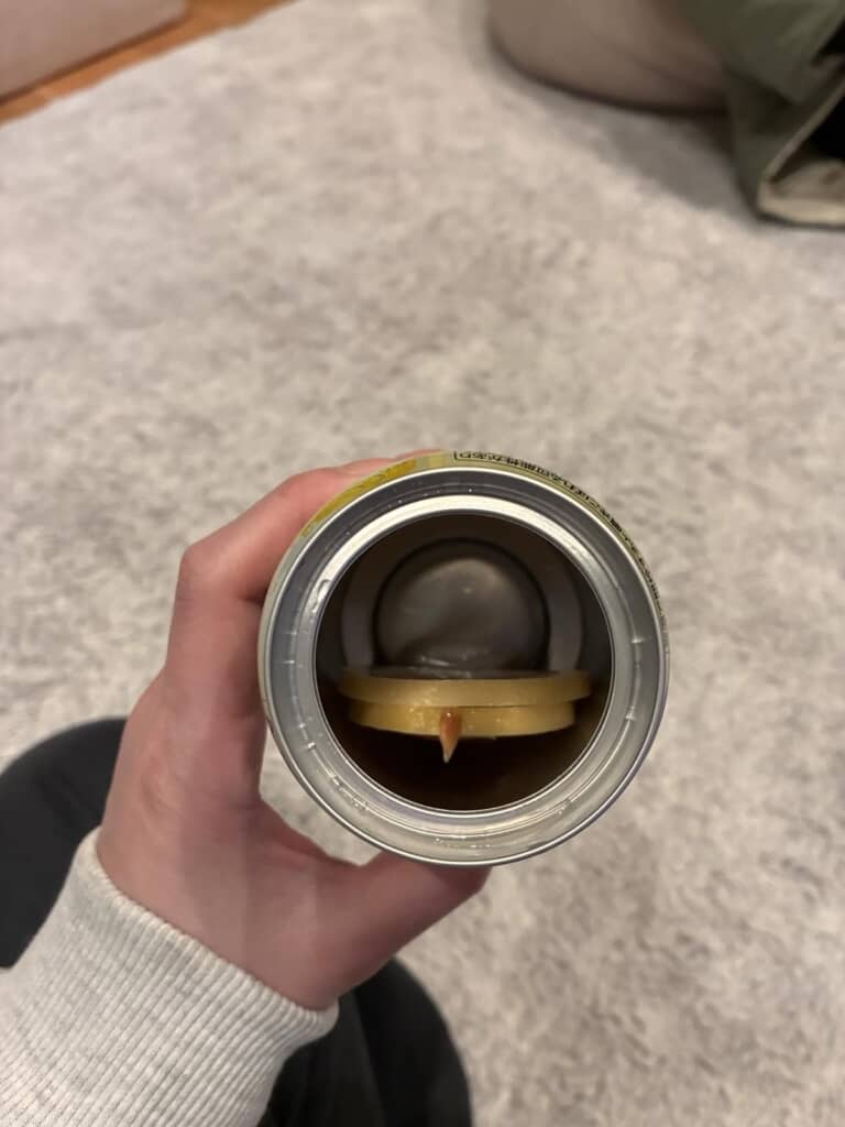 レモンスライスが2枚入っていた！