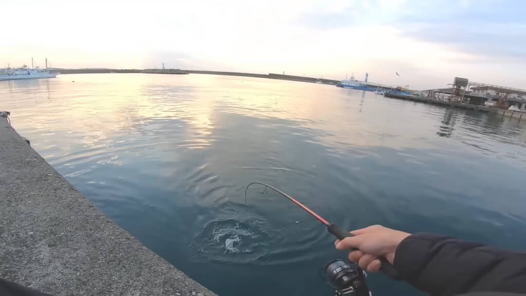 めっちゃ引いてる!