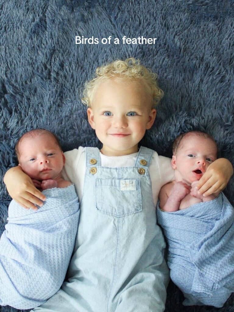 双子が赤ちゃんだったころ