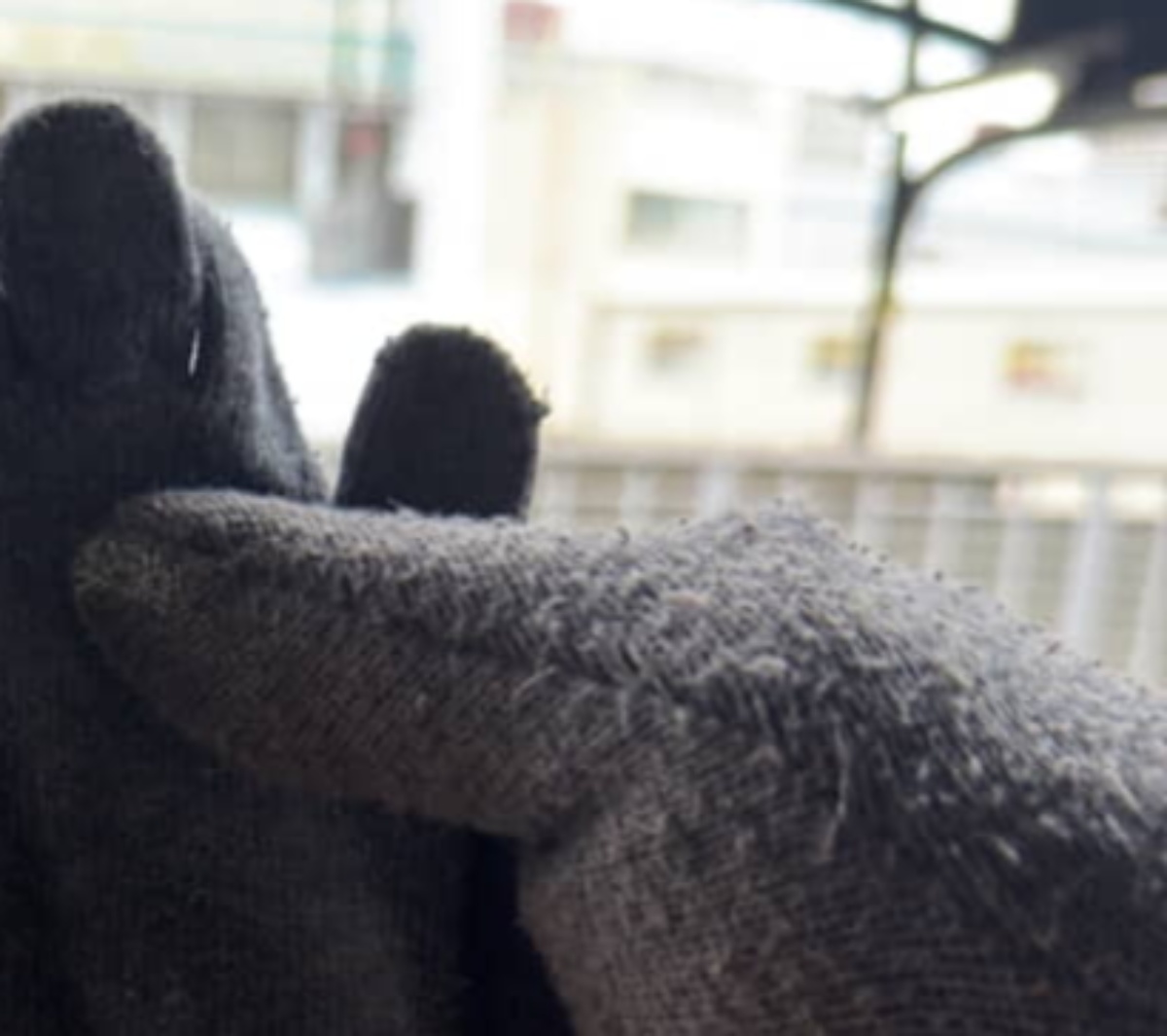 手袋をしようと思ったら……「うそやん！」　とんでもない光景に「すっごい絶望感w」「コーヒー吹いた」「電車の中なのでやめてもろていいですか？」（1/3） | ライフスタイル ねとらぼ