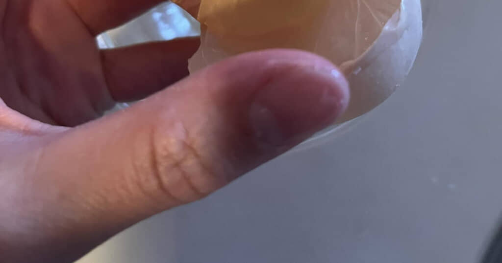 卵の中から一体何が……？