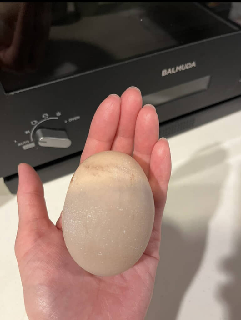 鶏卵というには大きすぎる卵