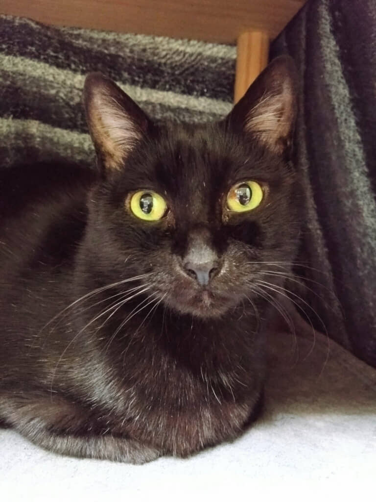 普段の実陽ちゃん