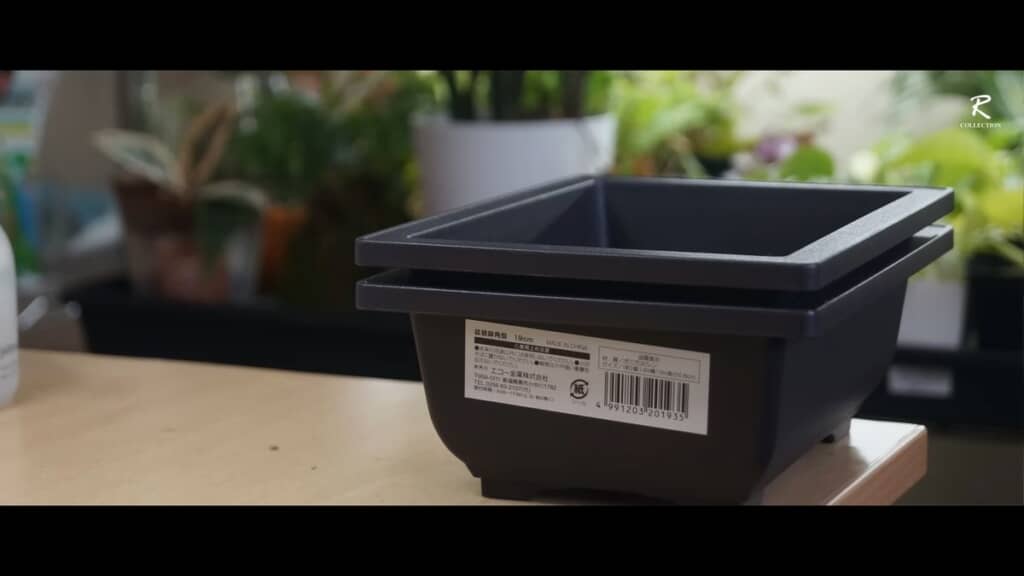 セリアの「ミニ盆栽鉢角型3号サイズ」