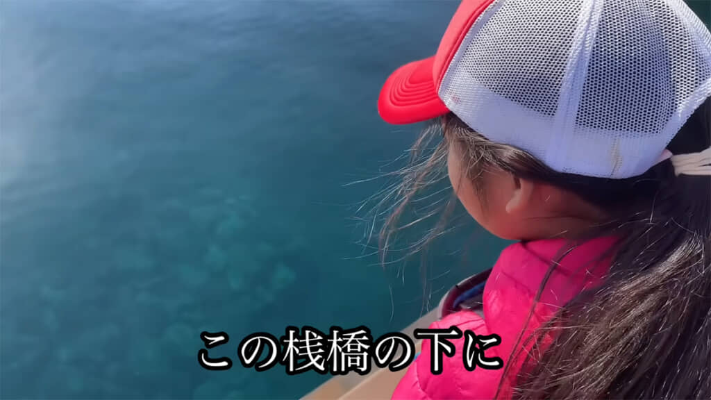 桟橋の下にはアジの群れが……！