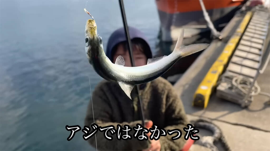 狙いのアジではないけれど、努力がしっかりと実りました