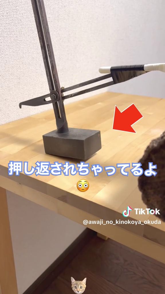 成長したシイタケに押し返されているネギカッターを固定する台