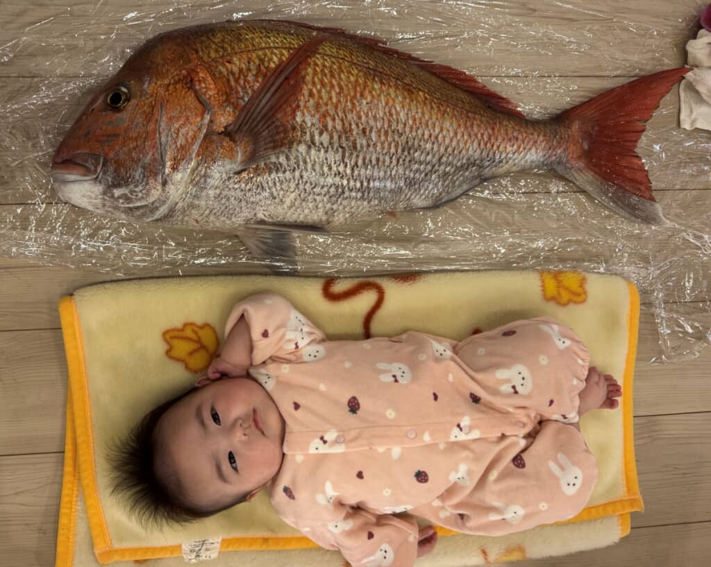 赤ちゃんより大きい!