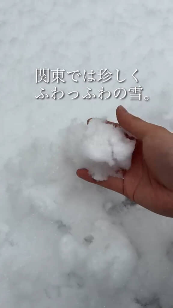 ふわふわの雪