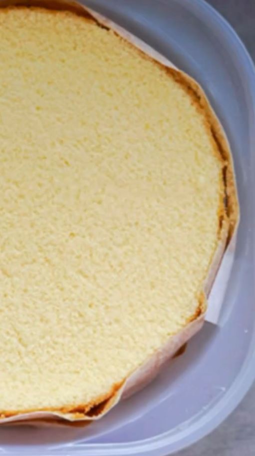 用意した市販のスポンジ