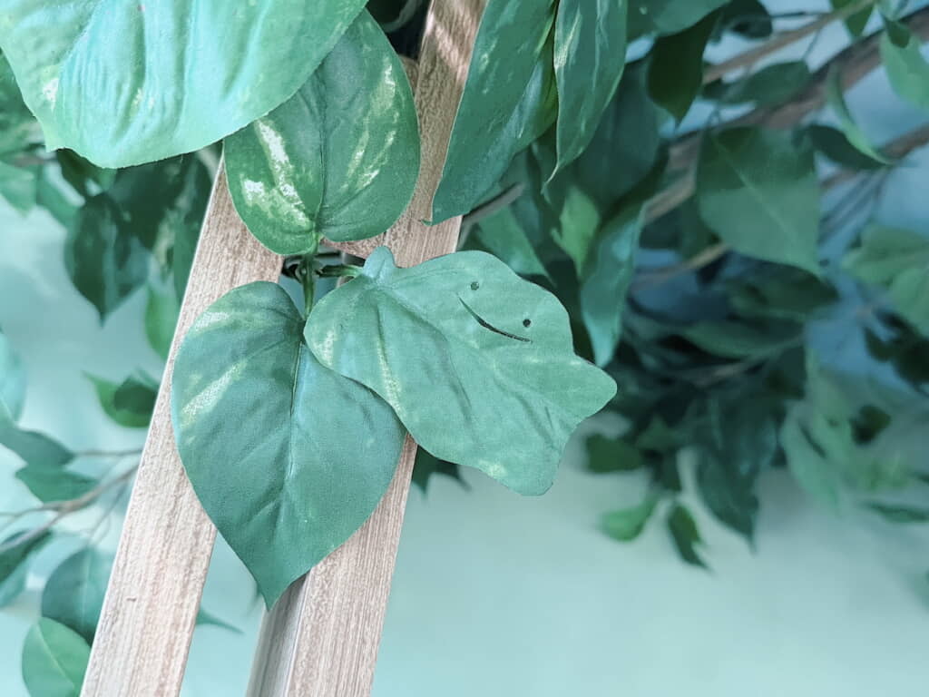 なんと葉っぱはメタモン！