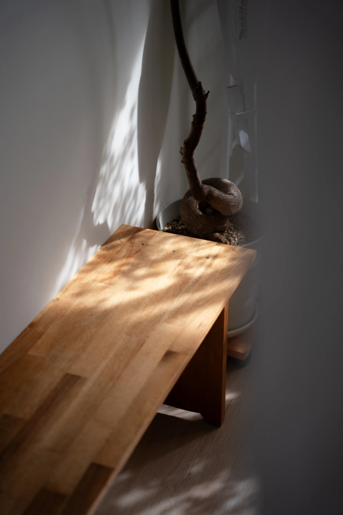 木漏れ日が差し込む椅子