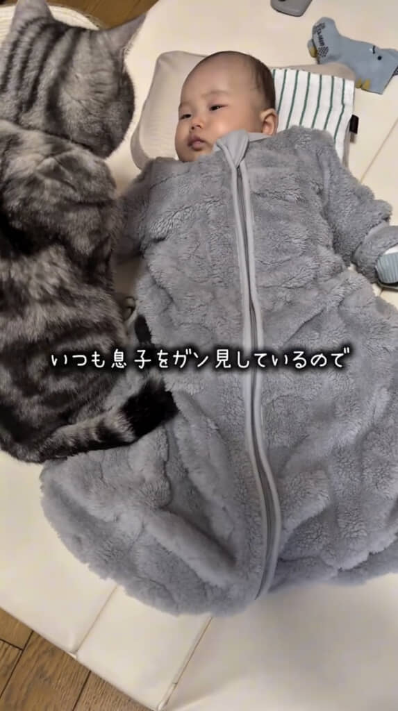 いつも赤ちゃんをガン見しています