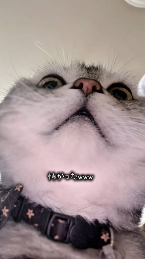 思った以上に怖い！