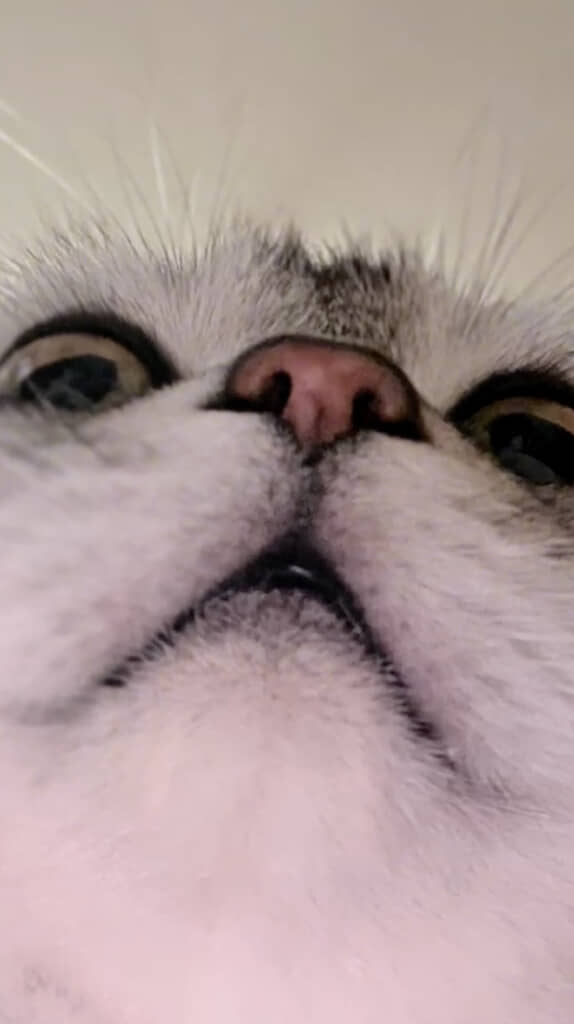 瞳に吸い込まれそうです