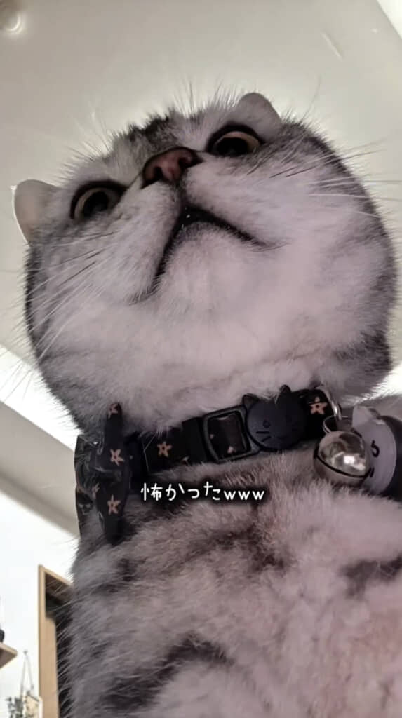 赤ちゃん視点だと……