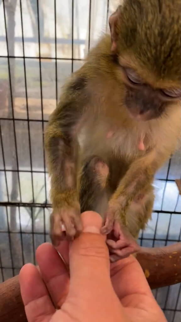 優しい手つきでささくれをむしってくれる