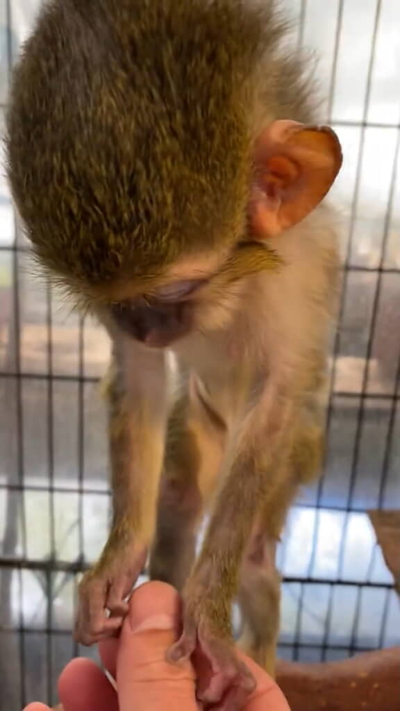 身を乗り出して作業に集中