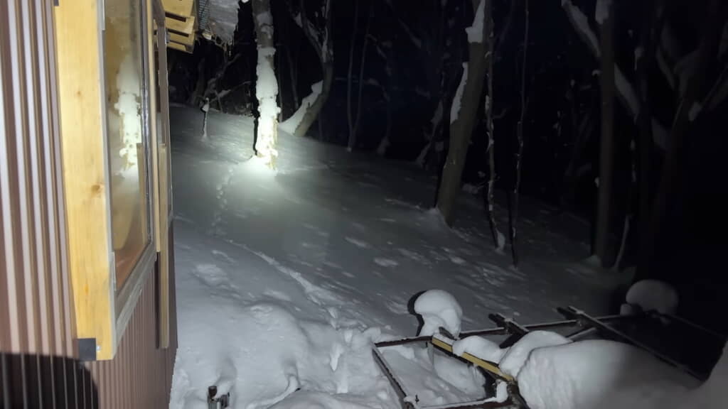 キツネらしき足跡。このほかに鹿と思われる足跡も発見する