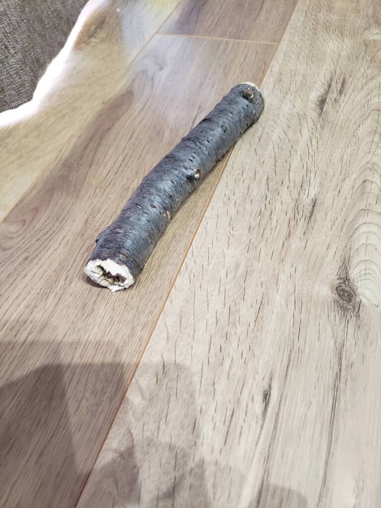 海苔巻の正体は木の枝!