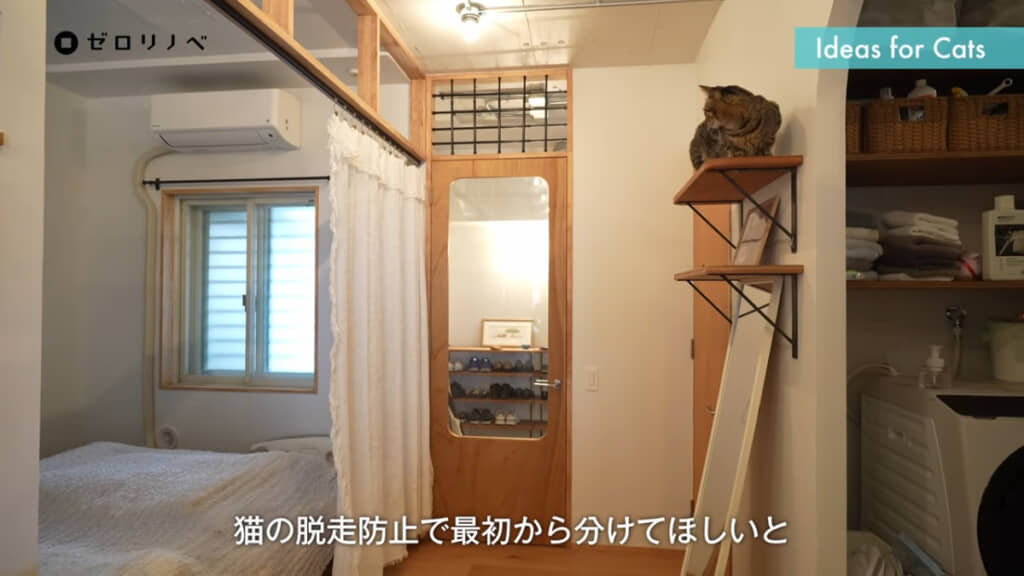 猫ちゃんが出迎える姿が見える玄関