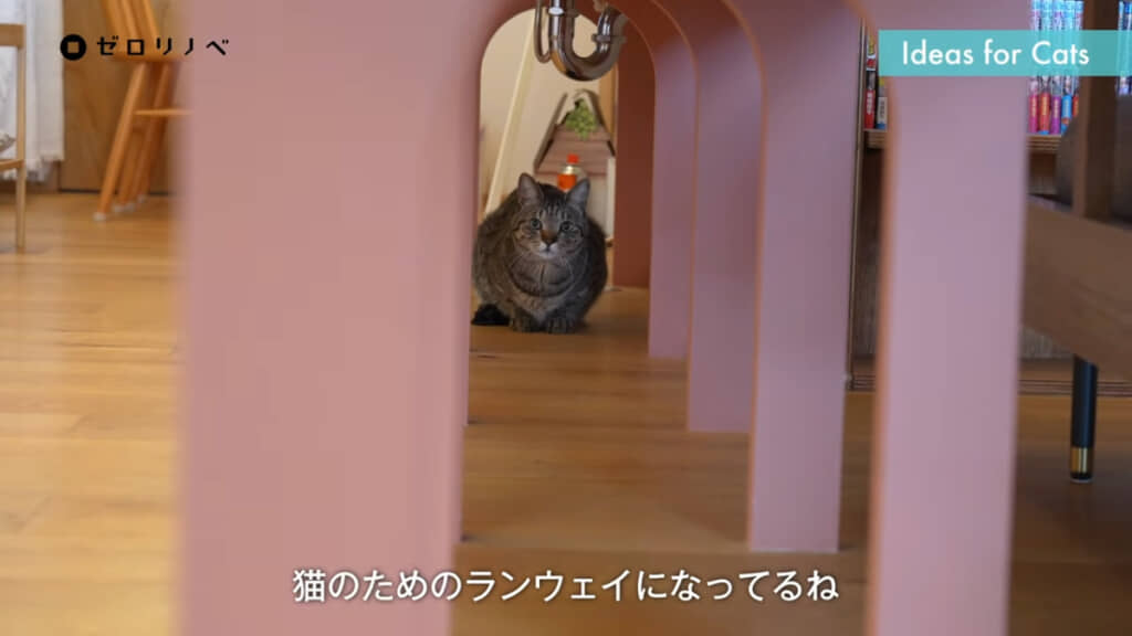 猫ちゃんが自由に歩き回れるカウンター下
