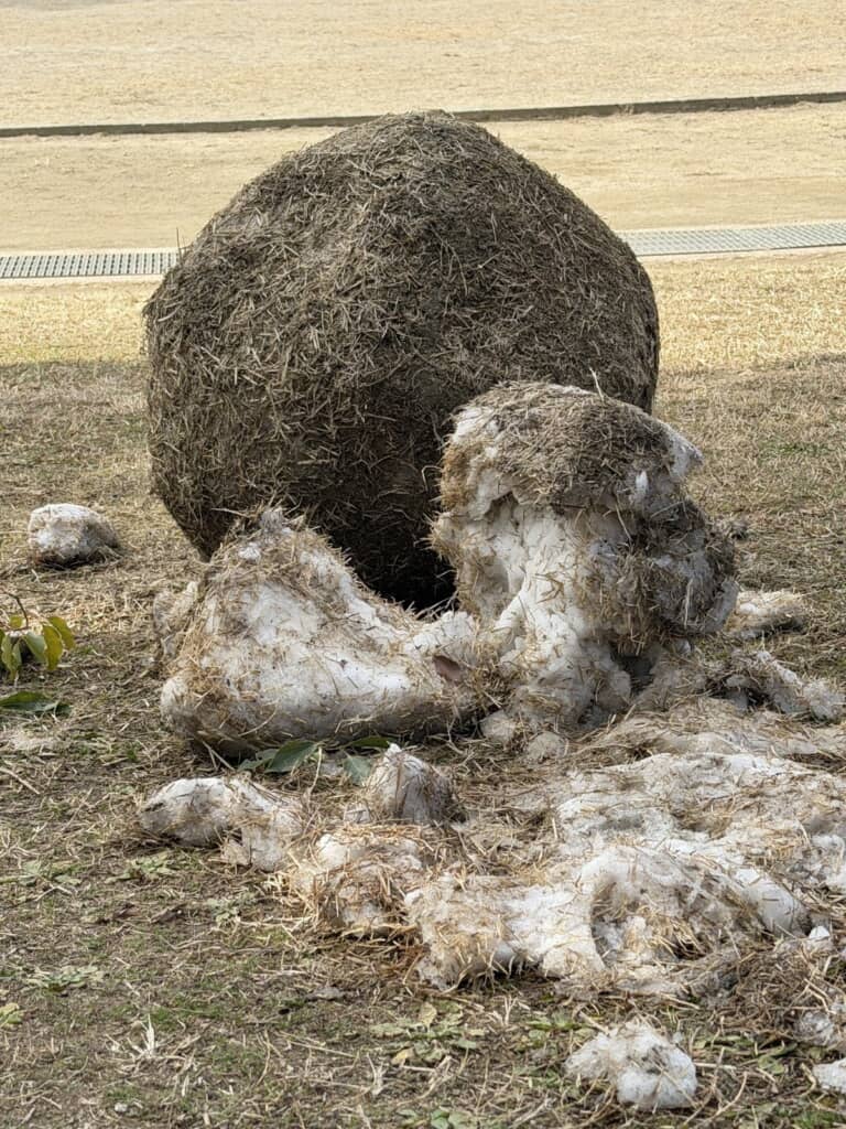 長崎人が執念で作った雪だるまの痕跡