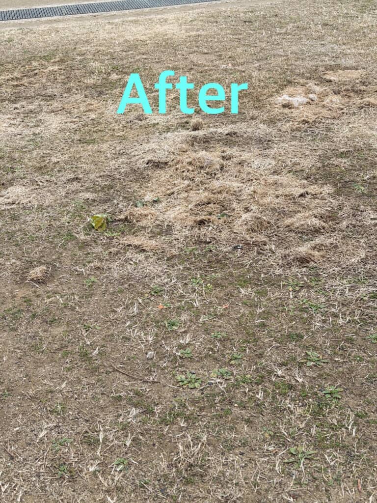 跡形もなく元通りに