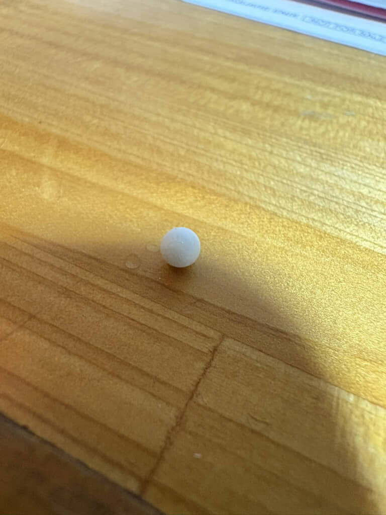 ホタテの貝ひもから真珠らしきものが……!