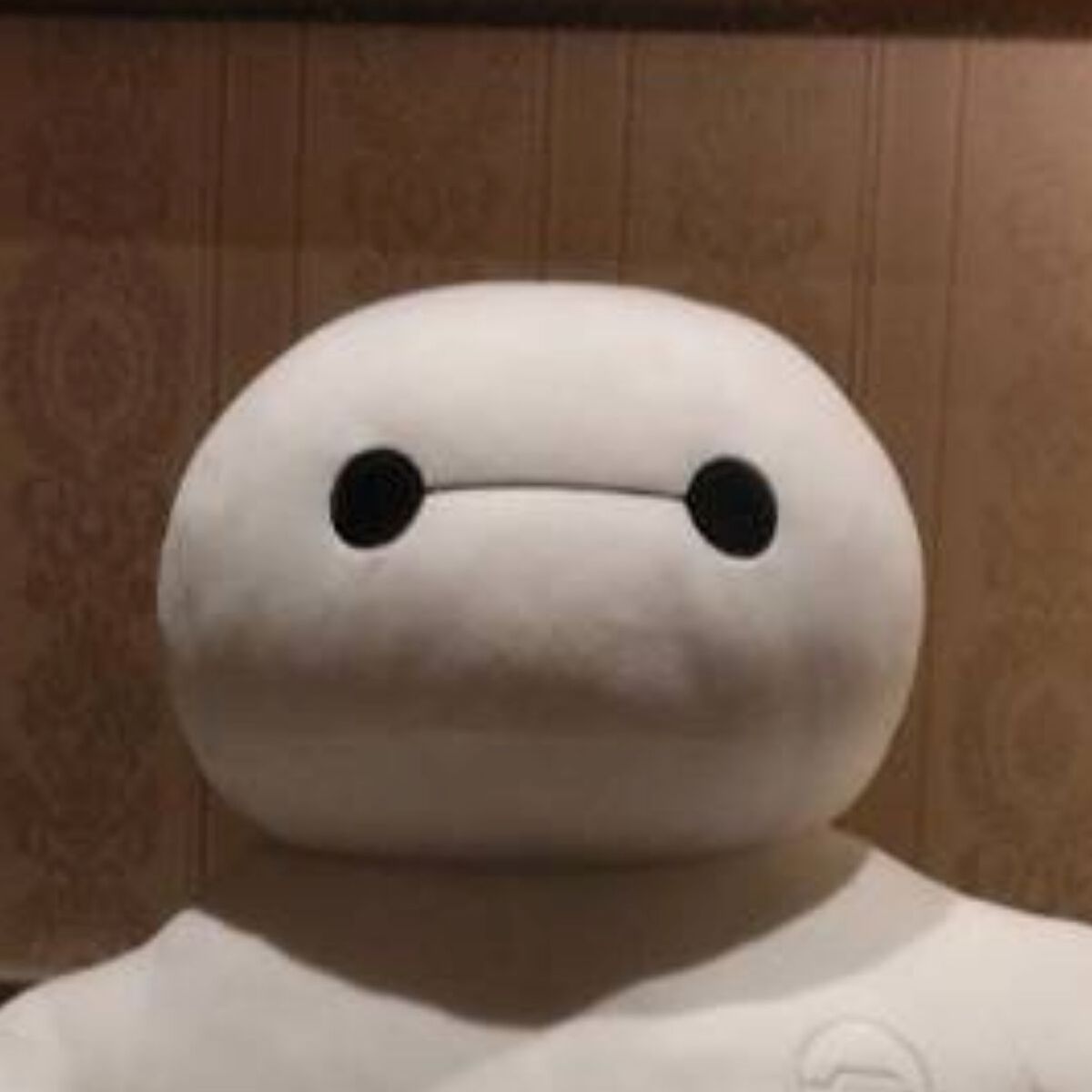 父が1人でディズニーへ→写真が届くも…… 娘「どこだこれ？」まさかの1枚に「2度見した」「父がベイマックスにされたのかと…」 | ライフスタイル ねとらぼ