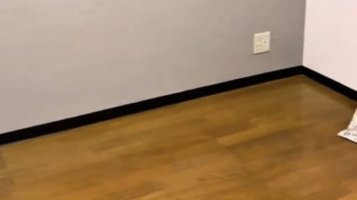 ディズニー好きの37歳女性→自宅を“ランドホテル風”にDIYしたら……　まさかのビフォーアフターに「え、やばすぎ！」「すごすぎますー!!」（1/2） | リフォーム・リノベーション・DIY ねとらぼ