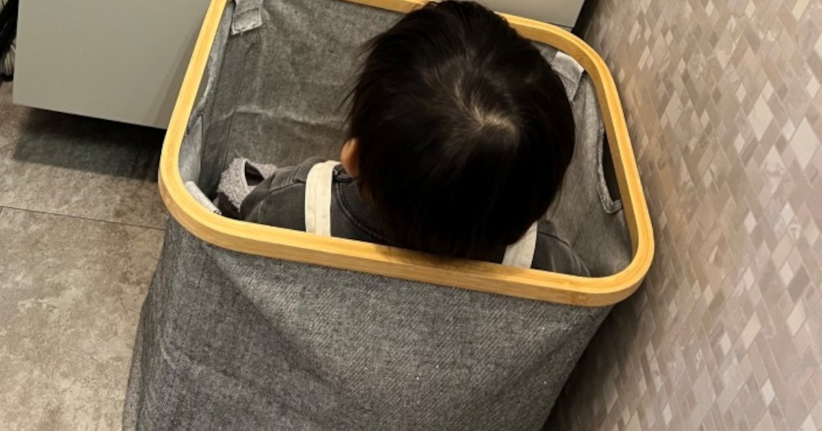 止めたら怒る1歳息子→視線の先には……　「え～」ママも呆れた“まさかの光景”に「ワロタww」「小さい頃同じことしてた」（1/3） | 育児 ねとらぼ